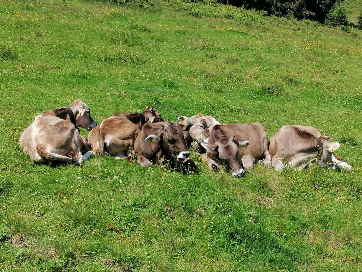 Fruehstueckspension Bilgeri Sulzberg  Esterno foto