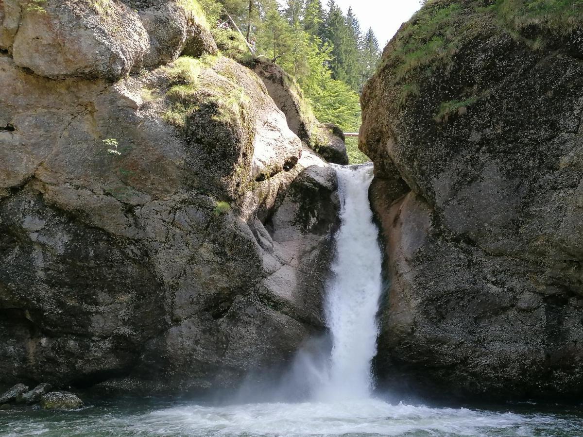 Fruehstueckspension Bilgeri Sulzberg  Esterno foto