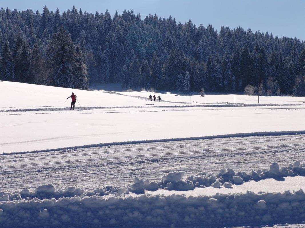 Fruehstueckspension Bilgeri Sulzberg  Esterno foto